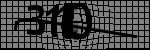 متن برای شناسایی