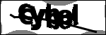 متن برای شناسایی
